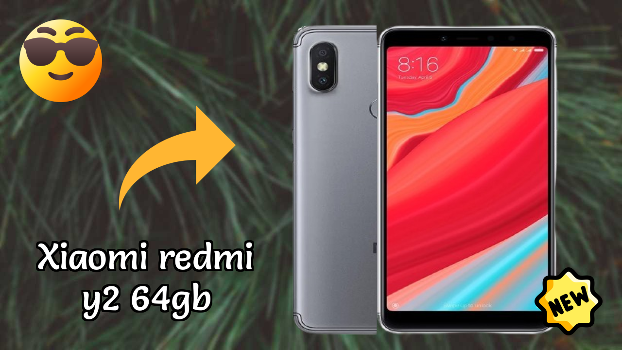 Xiaomi Redmi Y2 64GB Display Quality: IPS LCD Explained